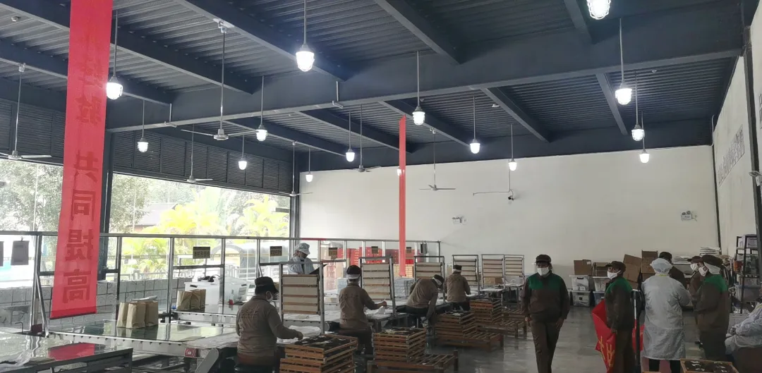 精益求精·鑄造品質｜六大茶山第十四屆技術大比武圓滿完成