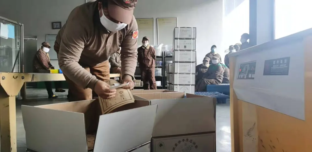 精益求精·鑄造品質｜六大茶山第十四屆技術大比武圓滿完成