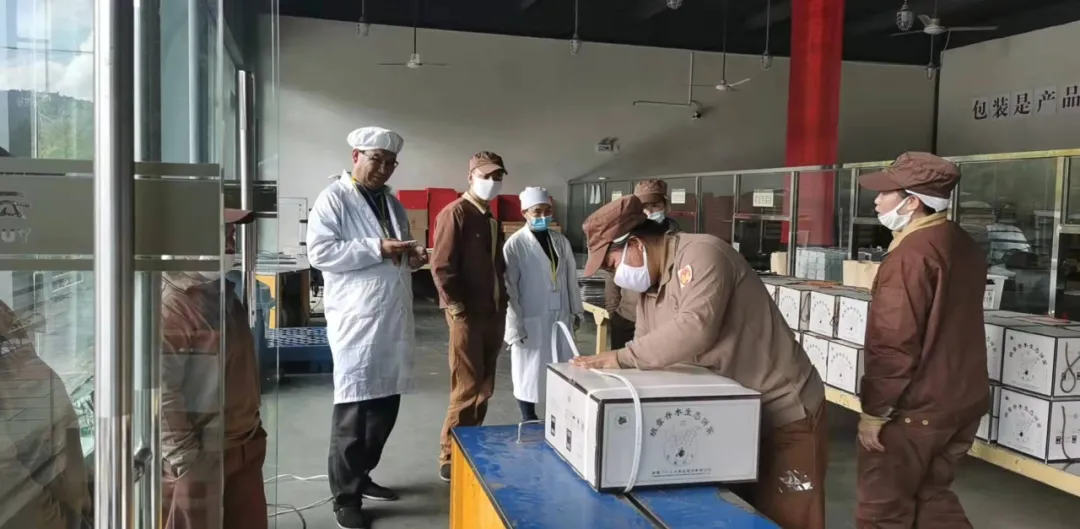 精益求精·鑄造品質｜六大茶山第十四屆技術大比武圓滿完成