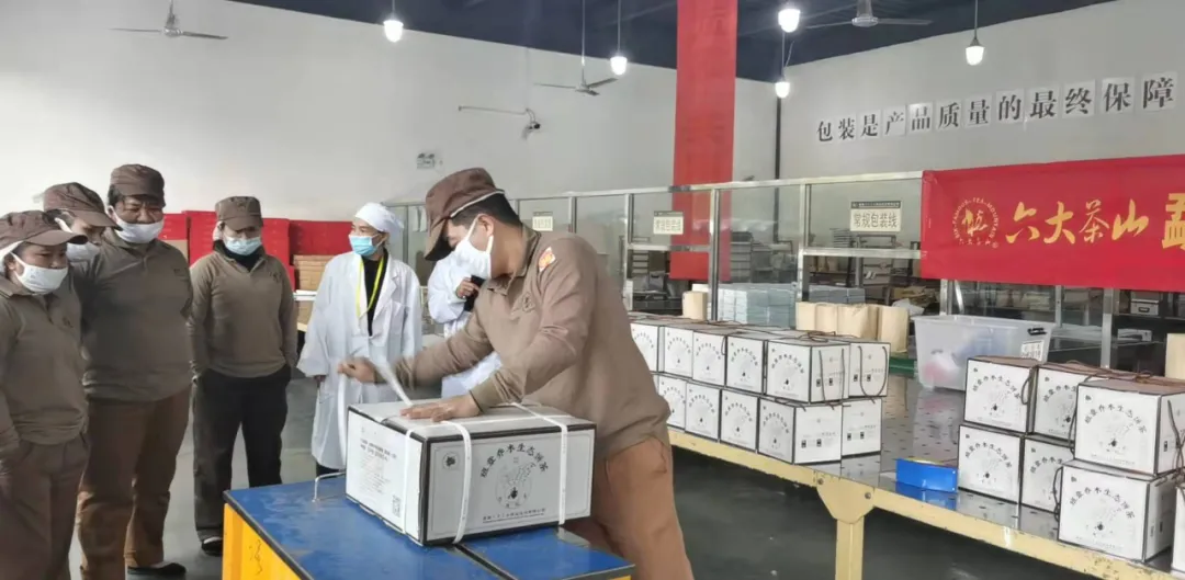 精益求精·鑄造品質｜六大茶山第十四屆技術大比武圓滿完成